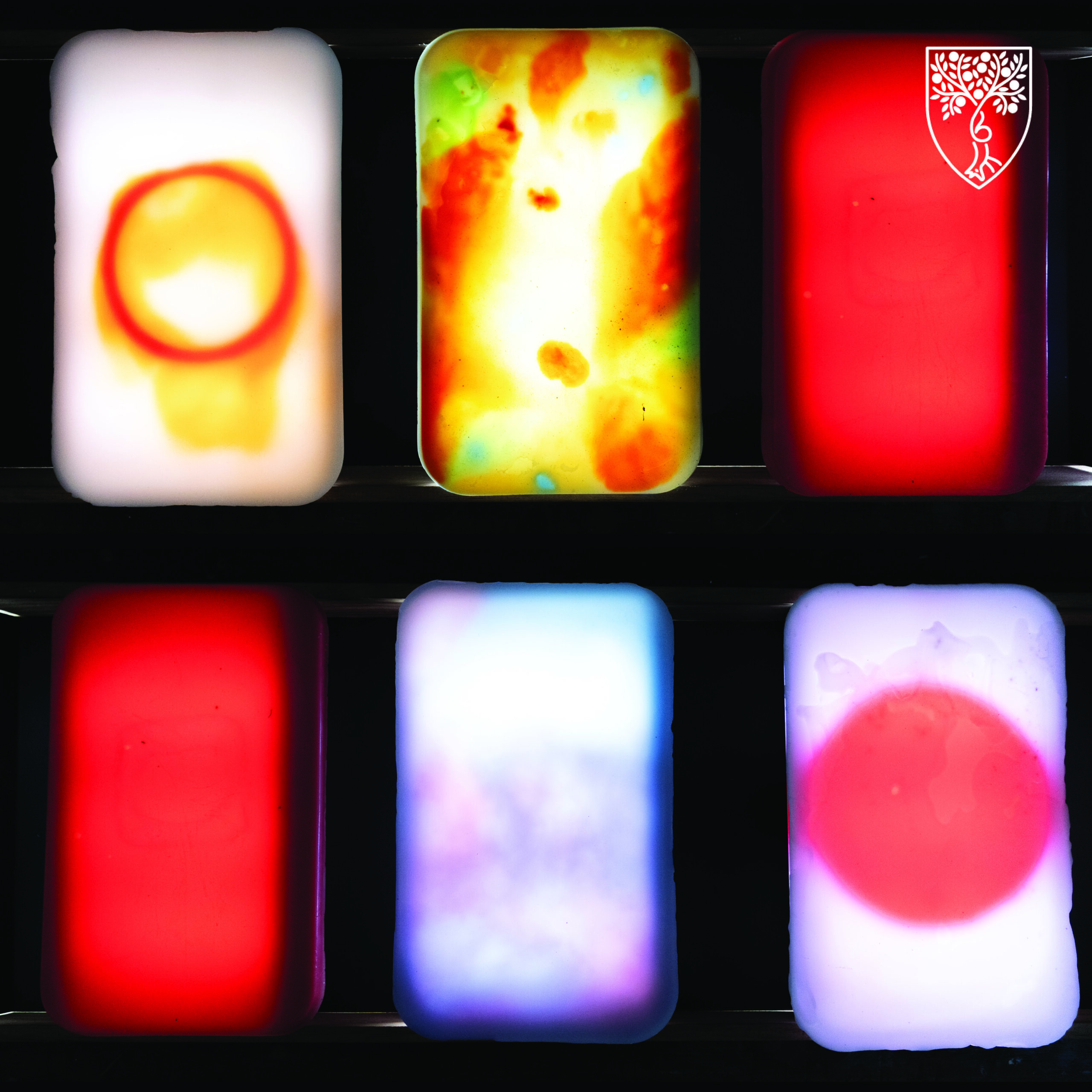 INST-POST_CH-CAT-Bott